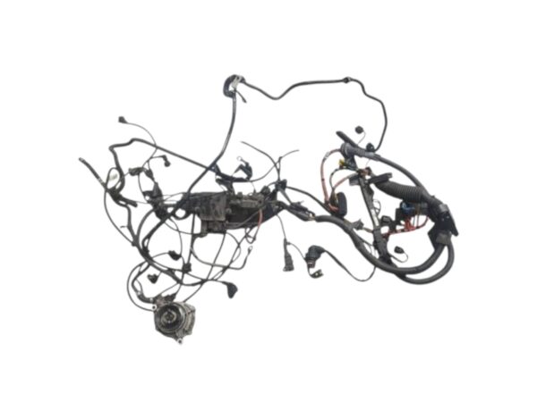 BMW X5 Engine Wiring Loom Harness